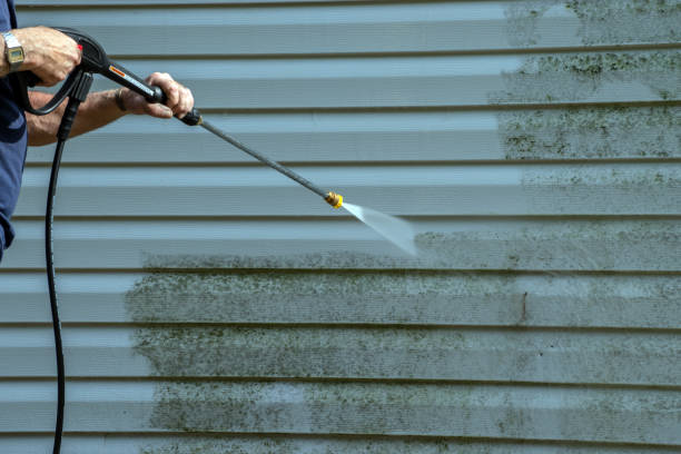 Best Roof Pressure Washing  in Roma, TX