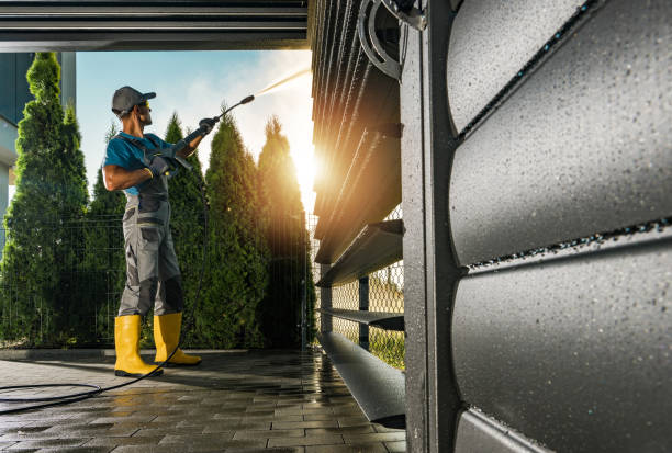 Best Deck Cleaning Services  in Roma, TX