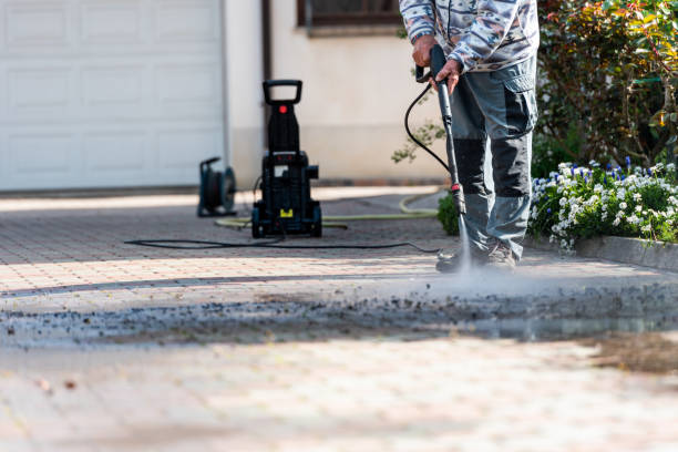 Trusted Roma, TX Pressure Washing Experts