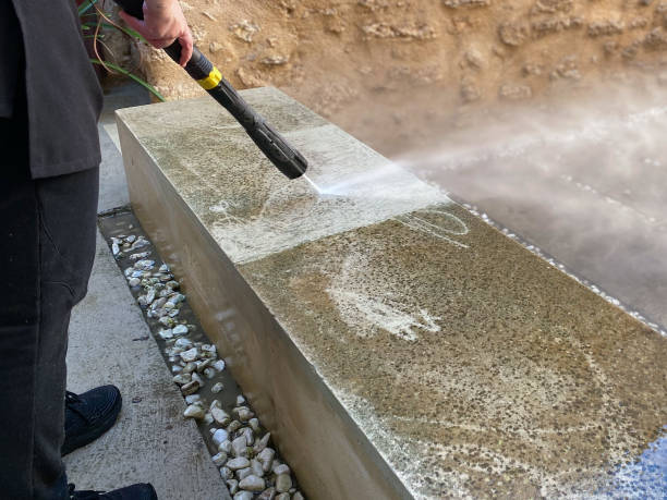 Best Exterior Home Cleaning  in Roma, TX