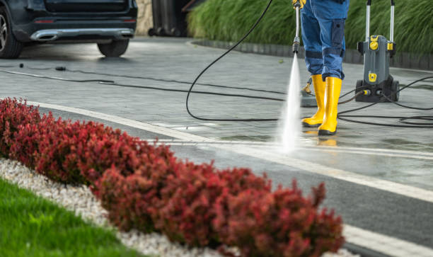 Best Local Pressure Washing Services  in Roma, TX