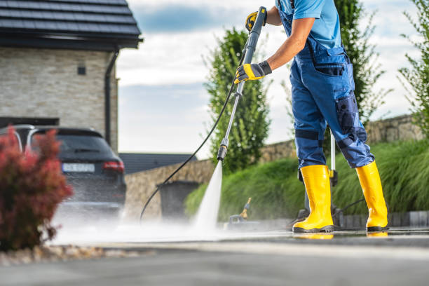 Best Pressure Washing Driveway  in Roma, TX