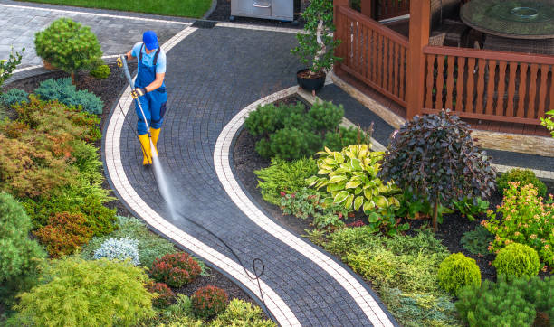 Best Concrete Pressure Washing  in Roma, TX