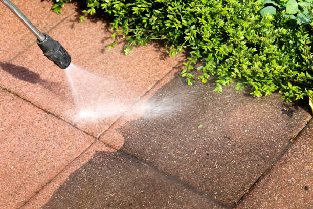 Best Affordable Pressure Washing  in Roma, TX
